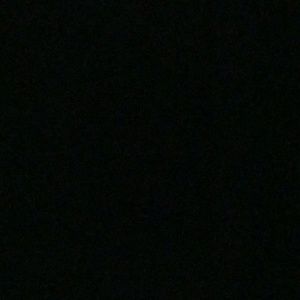 Meet your Posher, Cecilia